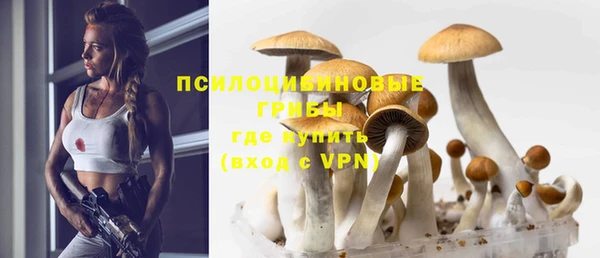 прущий лед Алексин