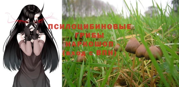 прущий лед Алексин