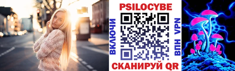 как найти закладки  Новозыбков  Псилоцибиновые грибы прущие грибы 