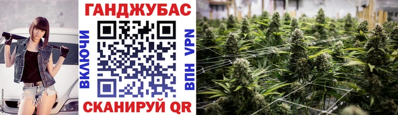 Каннабис план  Новозыбков 